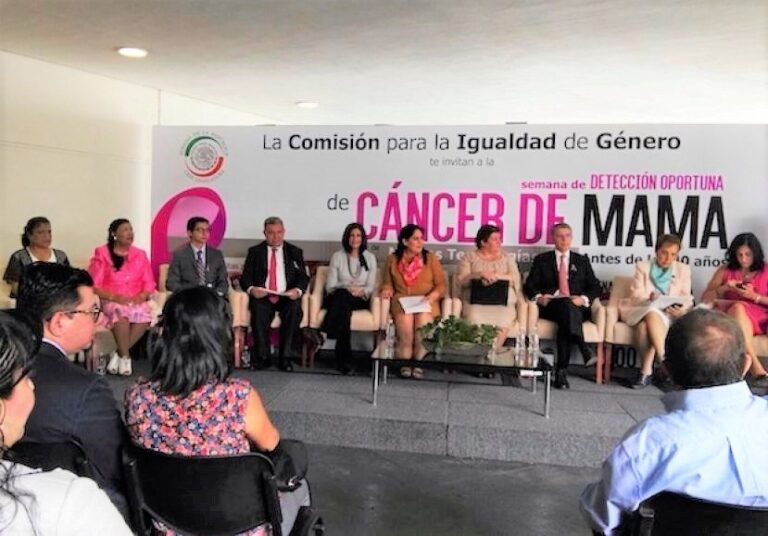 Salud y Seguridad Vial, Temas en Agenda de Martha Palafox