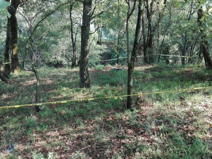 dfef460b91e8abb8c157700cc329528c_L