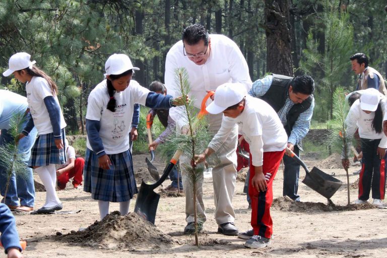 Un Millón de Árboles Para Reforestación: Marco Mena