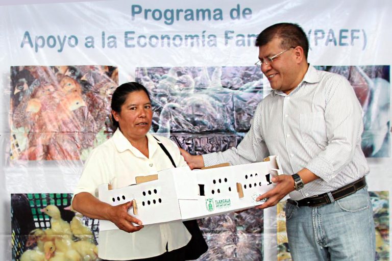SEFOA Entrega 150 Paquetes de Aves a Familias de Huamantla