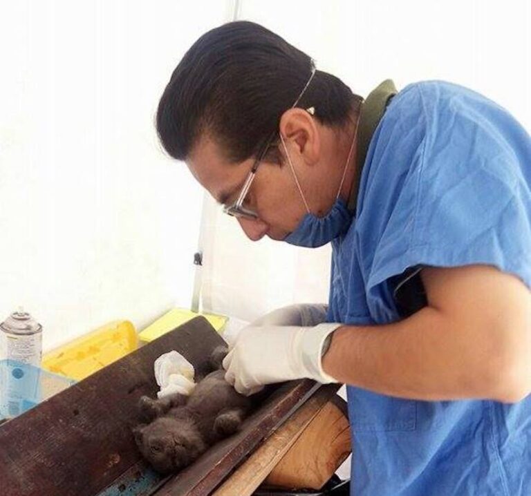 Ixtacuixtla: Inicia Campaña de Esterilización de Mascotas