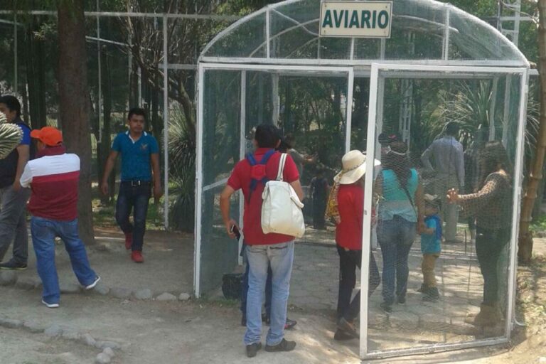 Invita CGE Visitar Aviario del Zoológico del Altiplano