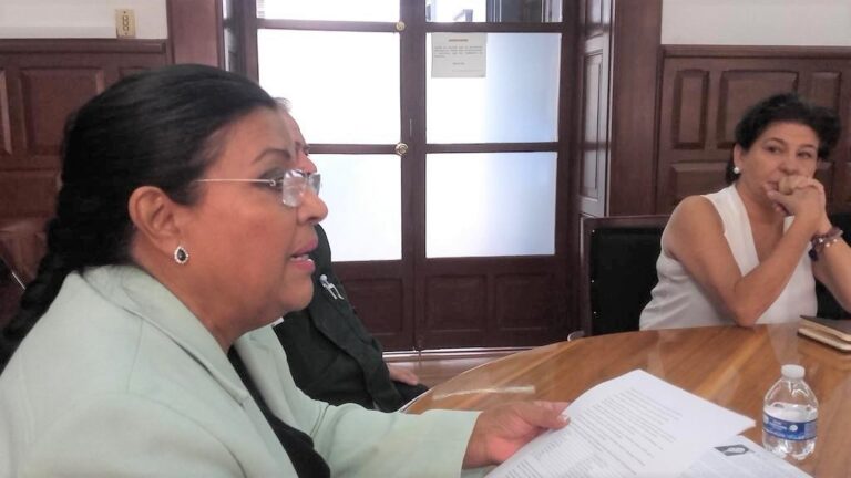 Aborda Senadora Palafox Contaminación del Río Atoyac con Organización Francesa