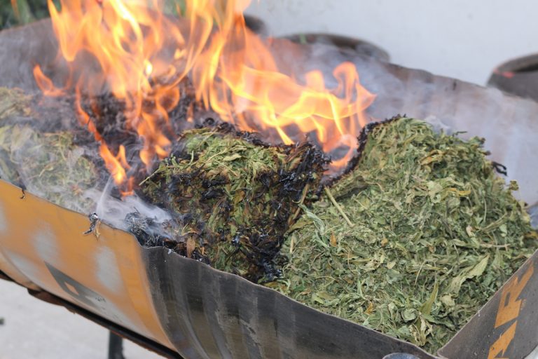 Incineró PGR Tlaxcala Más de Tres Kilos de Droga