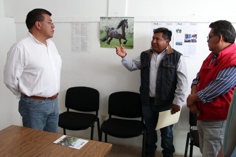 Facilita SEFOA Expedición de Permisos Para Traslado de Animales