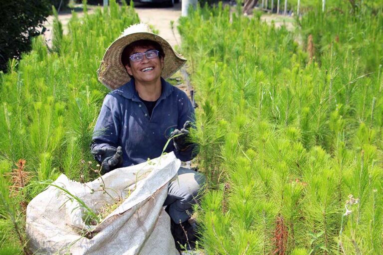Corresponsabilidad en el Ciudado del Medio Ambiente Propone Plan Estatal de Desarrollo