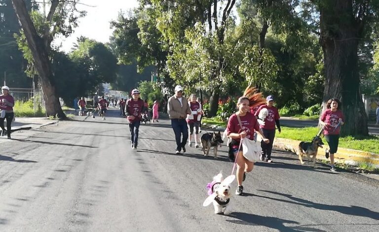 Cientos de Familias Participaron en el Sexto ’Corre, Camina, Trota con tu Mascota’