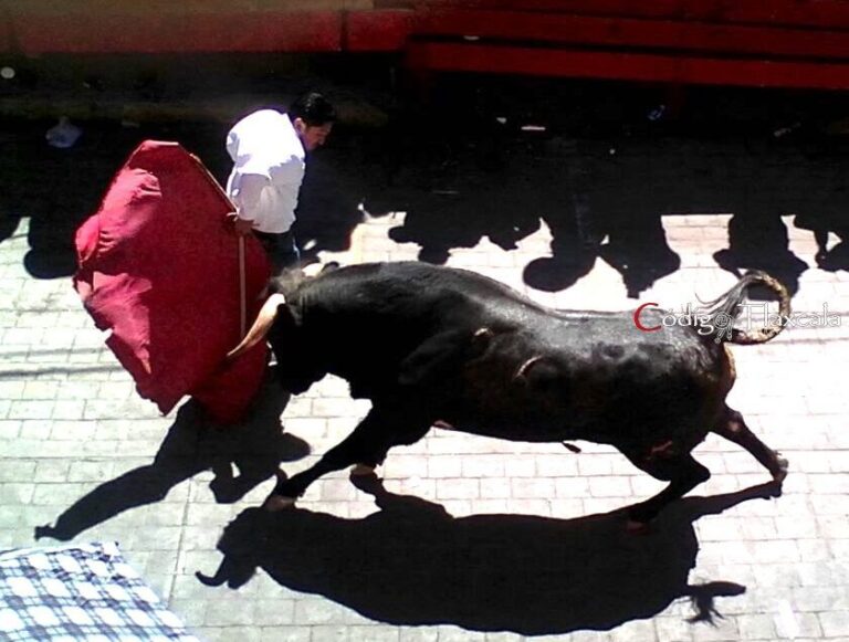 Reporta SESA 6 Lesionados en la Huamantlada