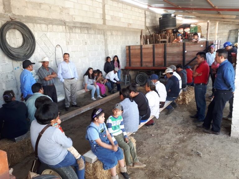 Paco Román Informa Apoyos de Vivienda en Terrenate