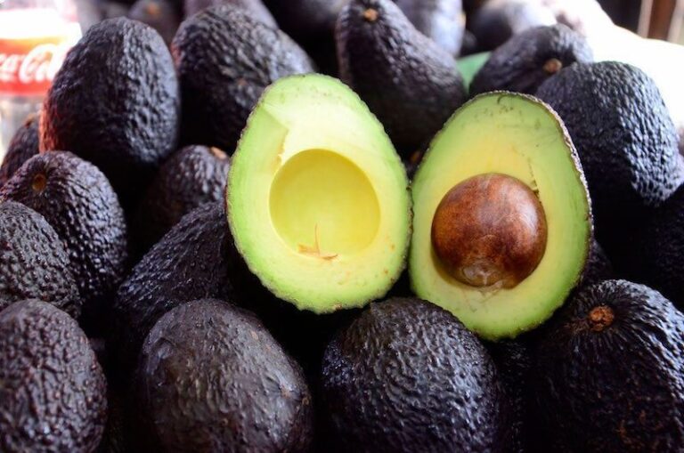 El Aguacate, Ganón de TLC