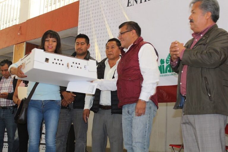 Ixtacuixtla: Entregan Paquetes de Aves de Postura a Familias Necesitadas