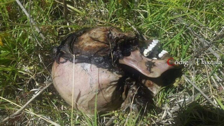 Encuentran Restos de Hombre Calcinado en Tizatlán