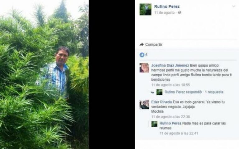 Regidor de Puebla se Toma Foto en Plantío de Cannabis; PGR Investiga