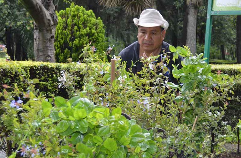 Incrementa CGE Colección del Jardín Botánico de Tizatlán