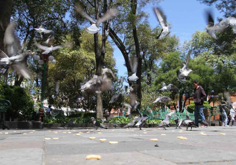 Registra Tlaxcala Óptimo Calidad del Aire: CGE