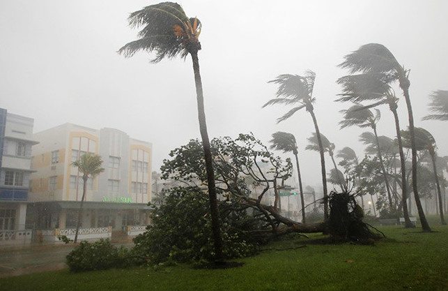 59b5381be9180f54488b4567