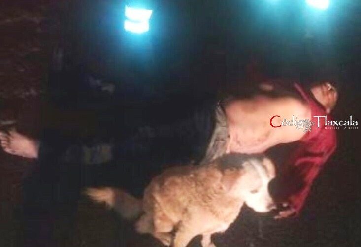 Arrolla a un Indigente y Huye; Can Cuidó al Amigo Hasta el Final