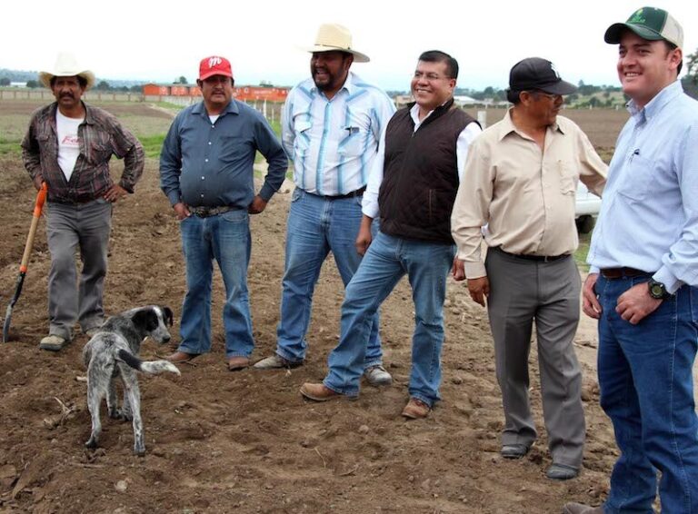 Apoya SEFOA a Productores con la Contratación de Seguro Agrícola