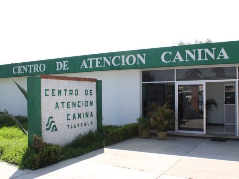 SESA Esteriliza Mascotas en 11 Municipios en Septiembre