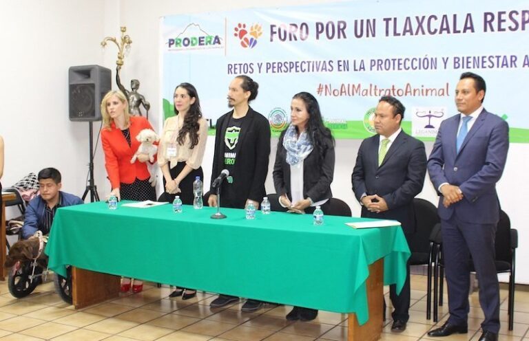 Congreso: Foro ‘Retos y Perspectivas en la Protección y Bienestar Animal’