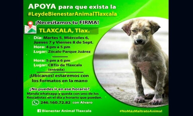 Apoya con tu Firma Para que Aprueben la #LeydeBienestarAnimalTlaxcala