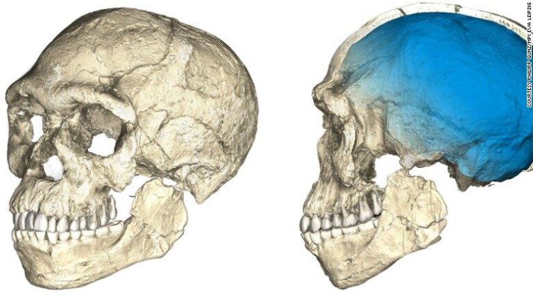 Ya Había Homo Sapiens Hace 300 mil Años