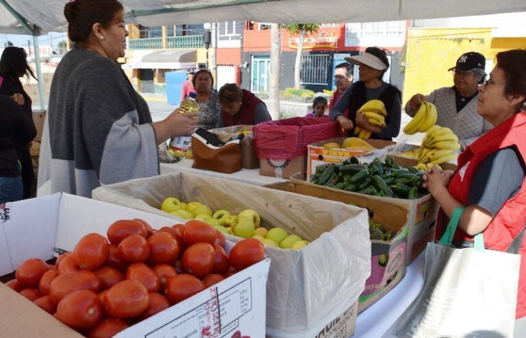 Tianguis Sabatino de la CCCD en Santo Toribio Xicohtzinco
