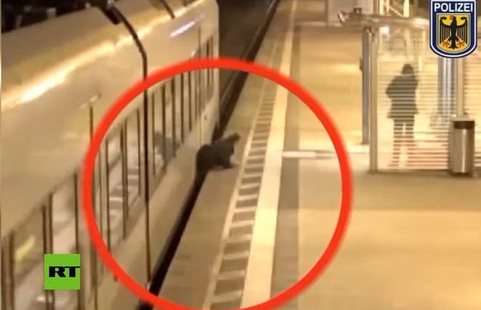  Un Alemán Evita de Milagro Morir Atropellado por un Tren