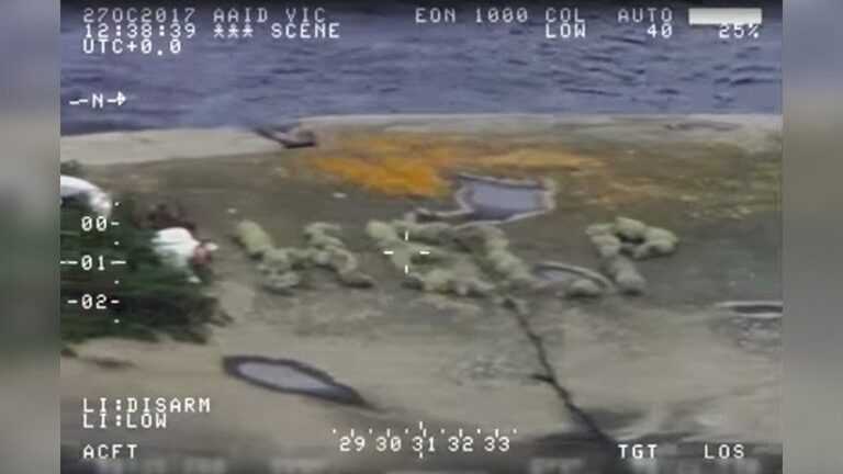 Ruso Desaparecido fue Encontrado Gracias a Petición de Auxilio Hecha de Musgo