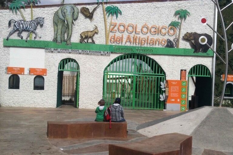 Llega ‘Zona Dino’ al Zoológico del Altiplano