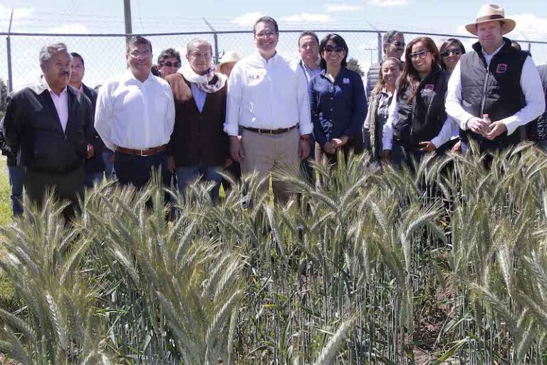 Gobernador de Tlaxcala Conmemora Día del Agricultor