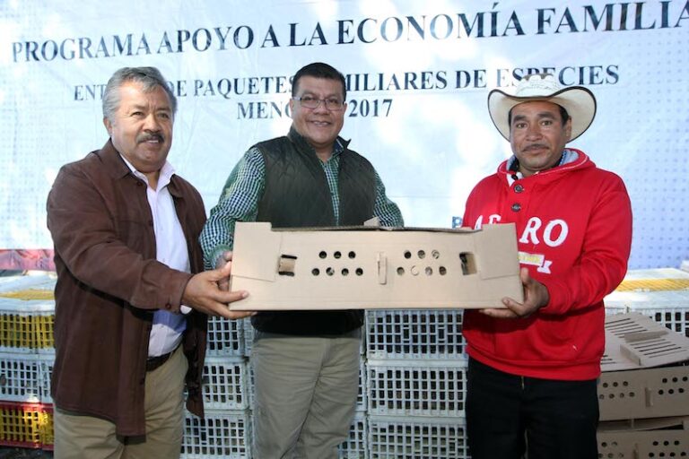 Entrega SEFOA Paquetes de Codornices a Familias Tlaxcaltecas