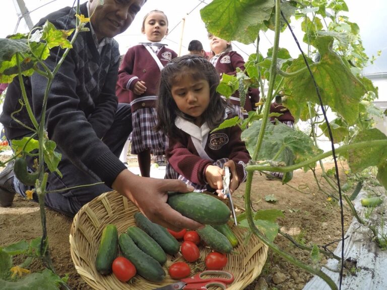 Reinicia SEPE Visitas al Área Didáctica Ambiental y Ecológica