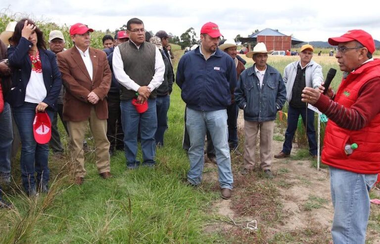 Presentan Avances en Investigación de Mejoramiento de Semillas