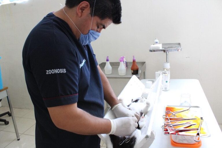 Jornadas de Salud Visitarán 14 Municipios en Noviembre