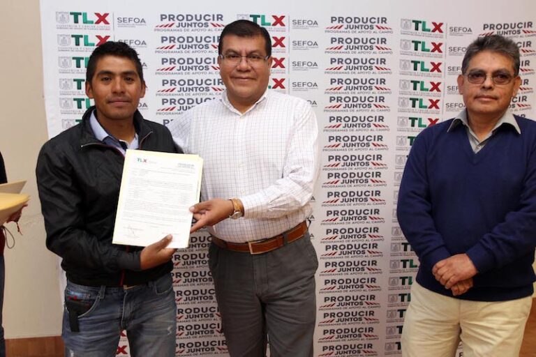 Con Inversión Estatal se Fortalece Lechería Familiar: SEFOA