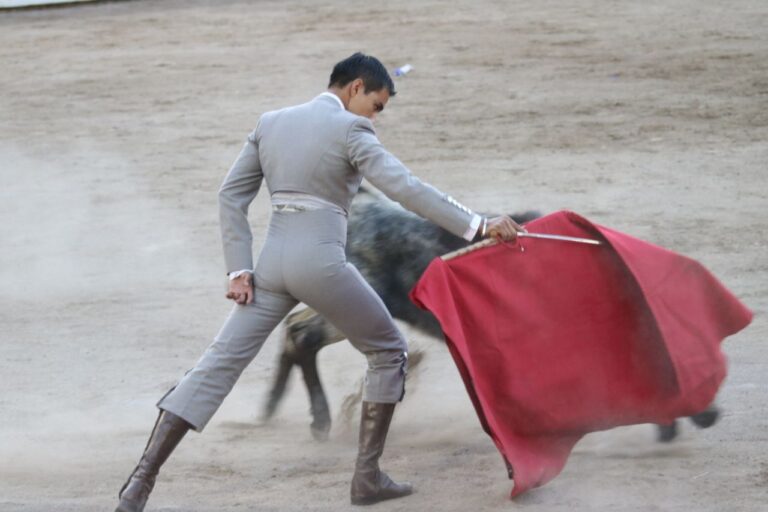 Se Realizó Última Tienta de Vaqullas en la Plaza Jorge «El Ranchero» Aguilar