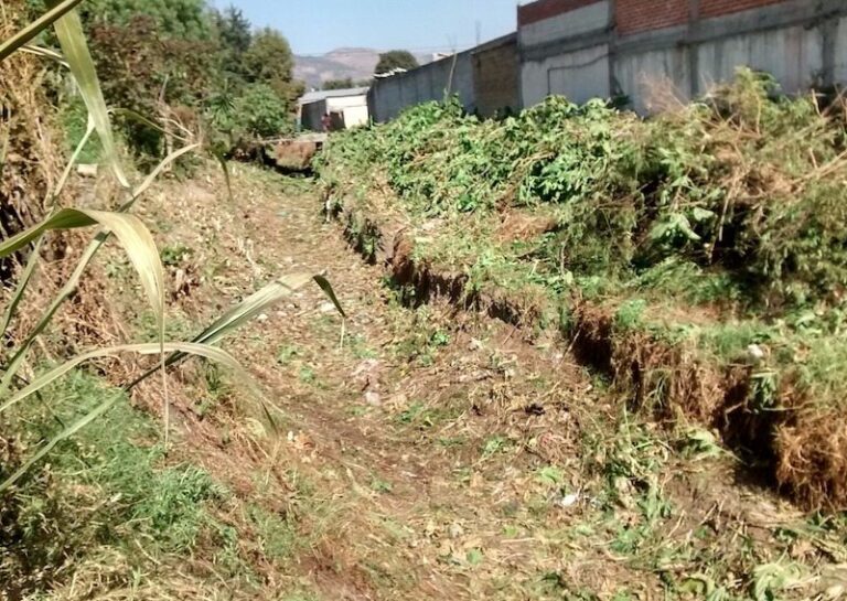 Ixtacuixtla: Realizan Limpia de Maleza en Barranca de Agua Escondida