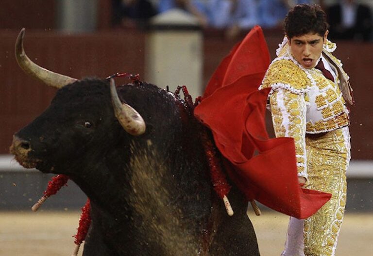 Un Joven Torero Mexicano Recibe Cornada en el Escroto