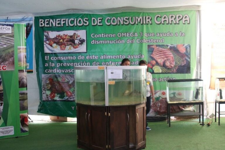 Instala SEFOA Granja de Especies Menores en Feria Tlaxcala 2017