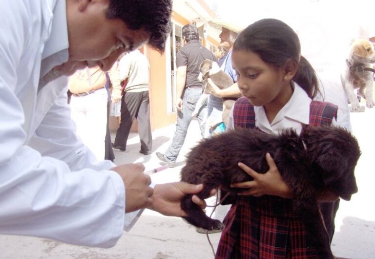 Realiza SESA Jornada Gratuita de Esterilización de Mascotas