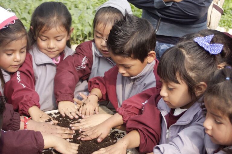 Visitas Guiadas al Área Didáctica Ambiental de SEPE