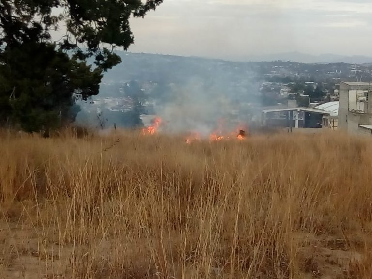 Piden Evitar Quema de Pastizales en Temporada de Vientos