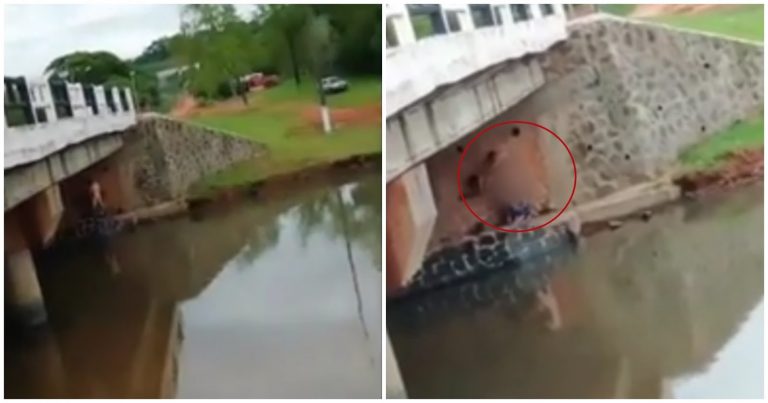 Exhiben a Pareja Teniendo Sexo Debajo de un Puente en Tlaxcala