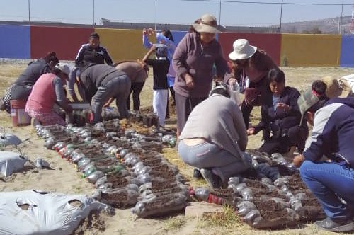 110320_SEPE_HUERTOS_VERTICALES_01