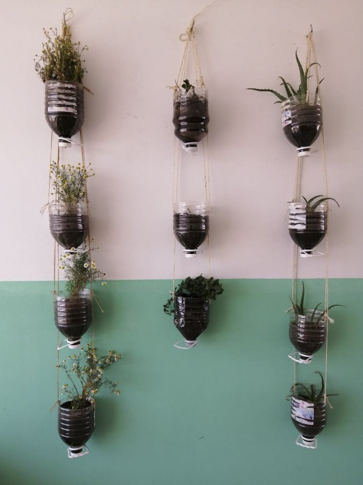 110320_SEPE_HUERTOS_VERTICALES_02