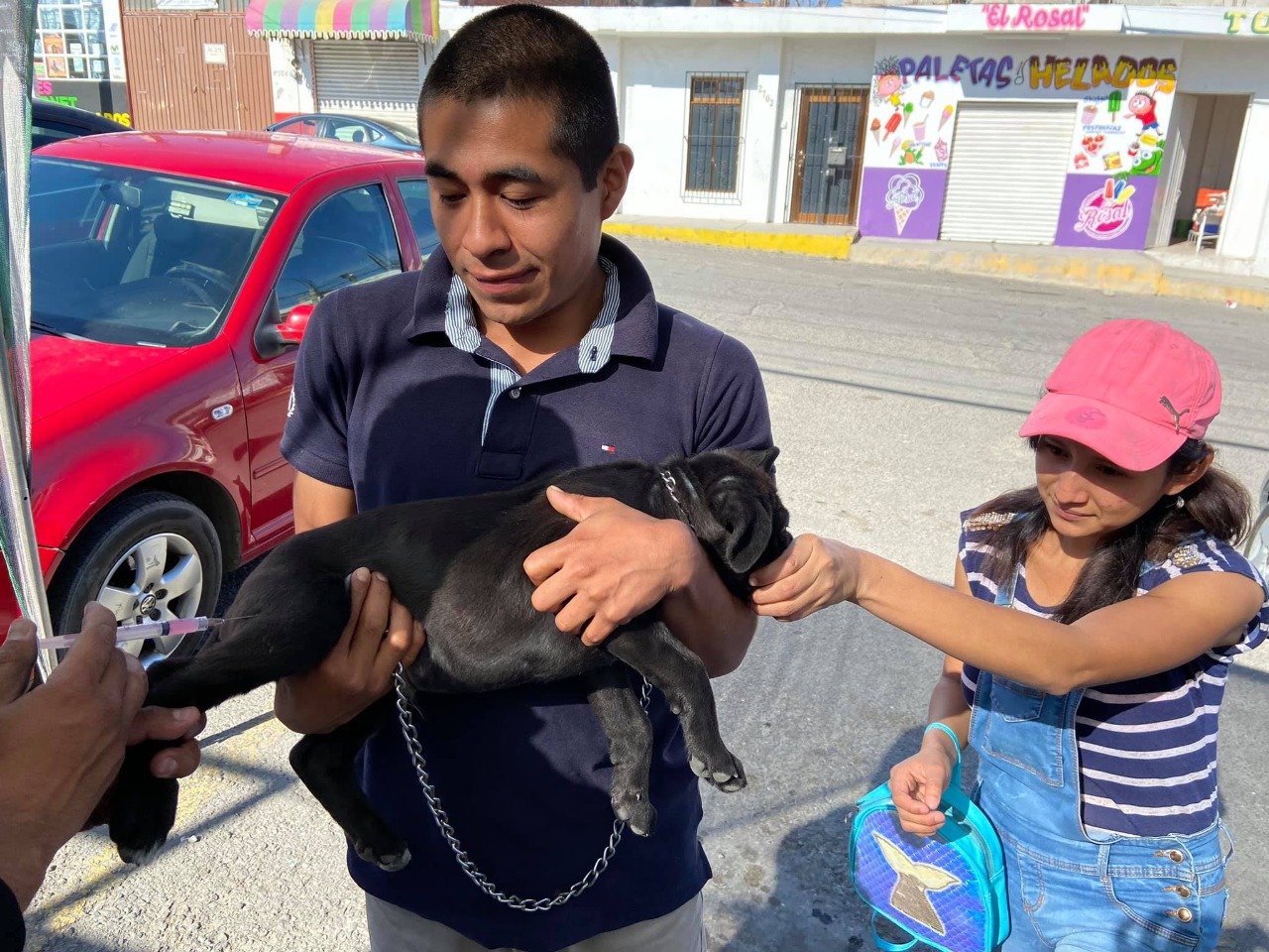 Reactivarán Jornada de vacunación antirrábica canina y felina 1