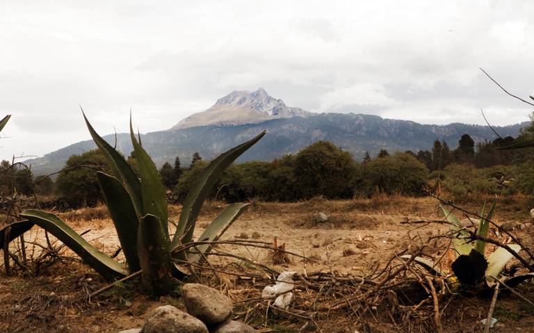 Abandonan una Bebé Junto a dos Cadáveres en la Malinche