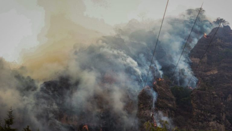 Joven Provocó Incendio en Tepoztlán por Hacer TikTok