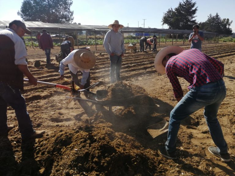 Tlaxcala Beneficia a 5 mil Personas con el Programa Federal Sembrando Vida